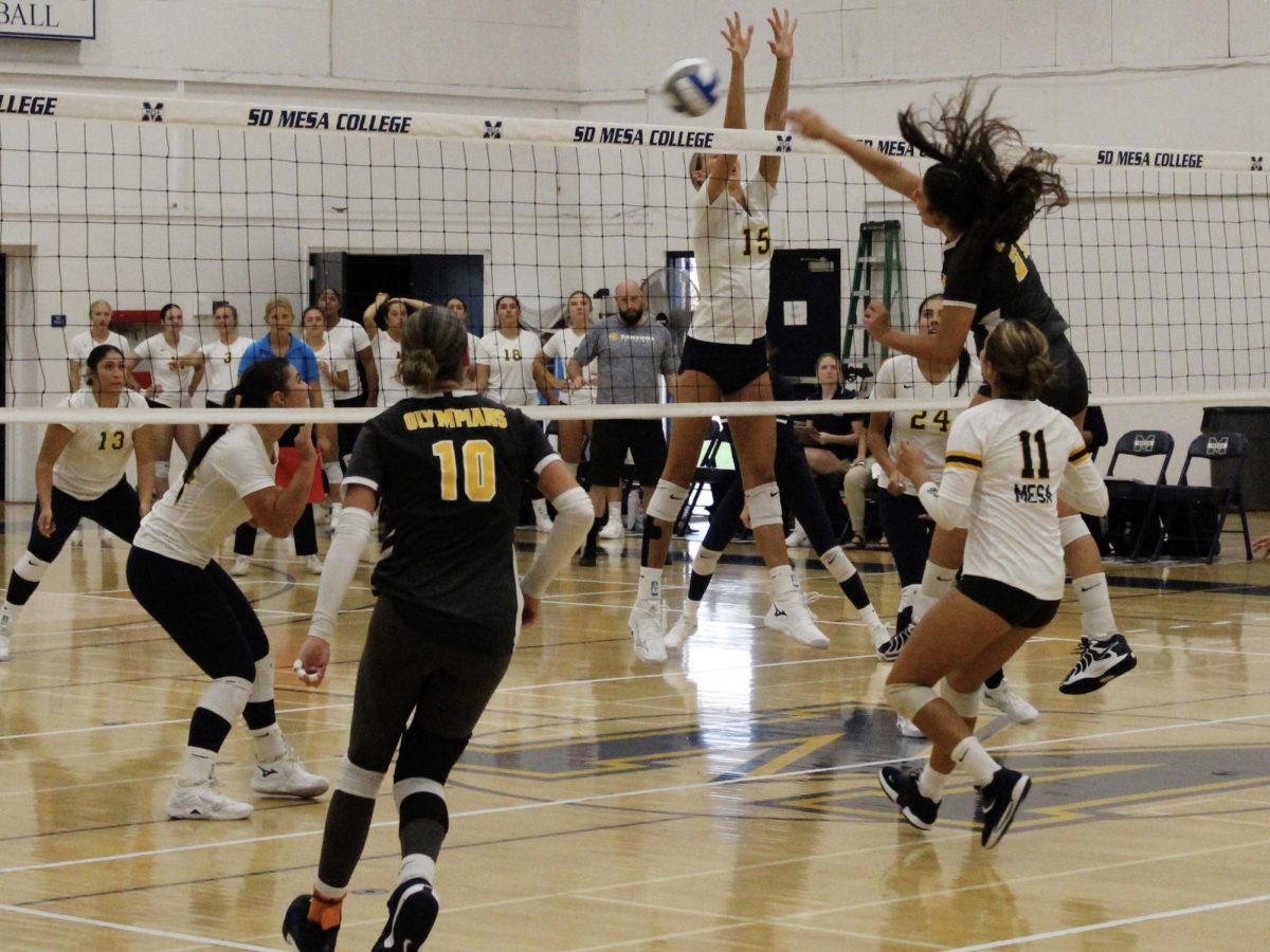 Women’s volleyball, cross country begin chases for state title as fall sports playoffs start